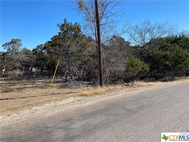 15896 Salado Dr, Temple, TX 76502 - photo 6