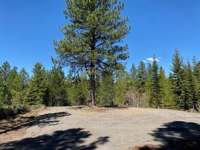 Lot 15 Saddle Rock Way unit 15, Cascade, ID 83611 - photo 2