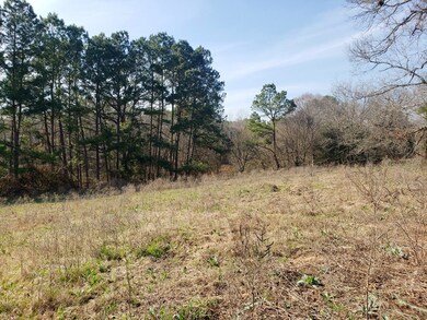 TBD County Road 153, Nacogdoches, TX 75965 - photo 3