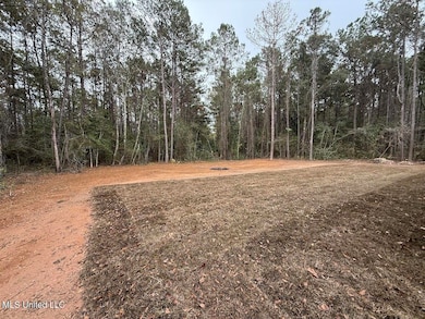 5360 Hoda Rd, Kiln, MS 39556 - photo 6