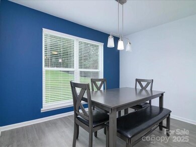 11034 Running Ridge Rd, Charlotte, NC 28226 - photo 5