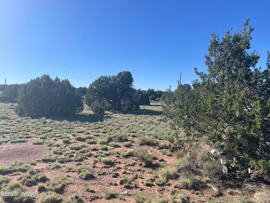 37 Frontage Rd, Concho, AZ 85924 - photo 3