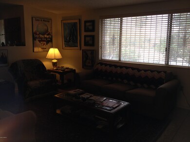 photo 5 (1)