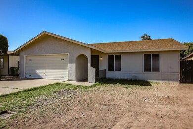 Jacaranda - 338 (4)