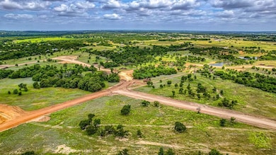 417 Pommel Ct, Weatherford, TX 76088 - photo 3