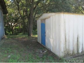Shed