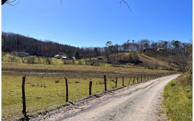 Additional View