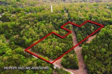 Tbd Catfish St & Drum St, Kissee Mills, MO 65680 - photo 2