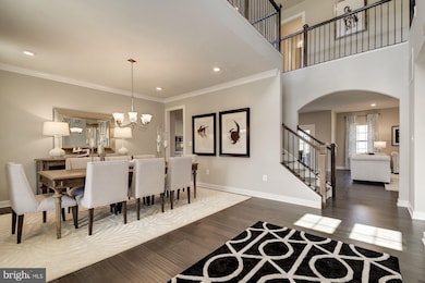 5336 Striped Maple St, Frederick, MD 21703 - photo 2