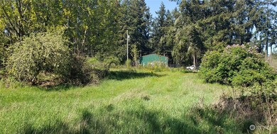 10010 219th Street Ct E, Graham, WA 98338 - photo 6