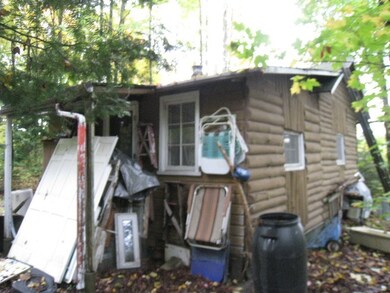 9901 Old 27 Hwy N, Vanderbilt, MI 49795 - photo 2