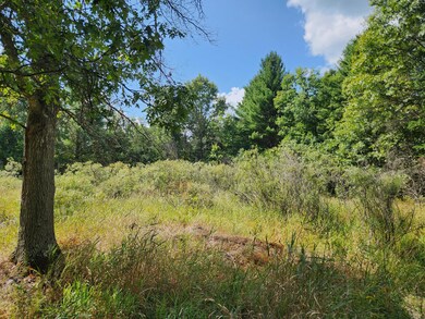 Par 1 Wilderness Trail, Peacock Township, MI 49656 - photo 5