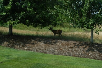 6506 130th Ln SW, Olympia, WA 98512 - photo 4