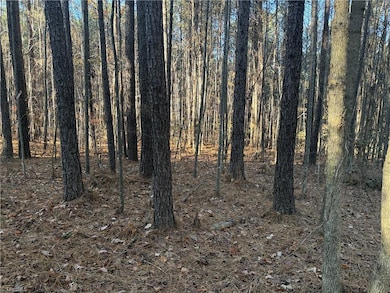 Lot 11 Woods Rd, Seagrove, NC 27341 - photo 6