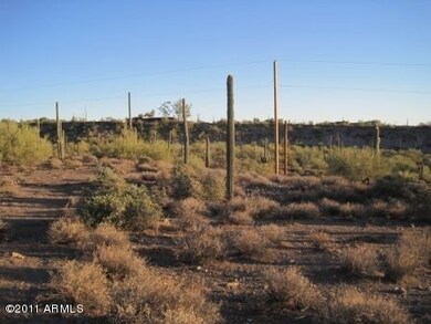 zimmerman_lot_010