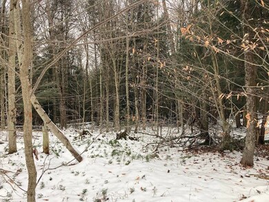 0 Rt 8 unit 11608225, Ohio, NY 13324 - photo 6