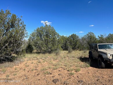 S2 358 Lucky Ln, Ash Fork, AZ 86320 - photo 2