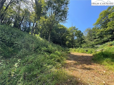 TBD Wyeth Dr, Blowing Rock, NC 28605 - photo 4