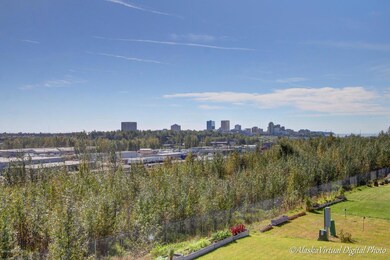 Downtown City View