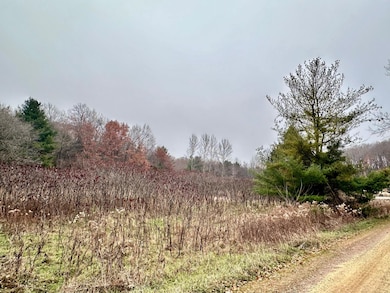 Lot 1 County Rd M, Clifton Township, WI 54022 - photo 5