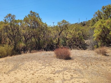 0 S Terwilliger Rd unit SW25167201, Anza, CA 92539 - photo 5