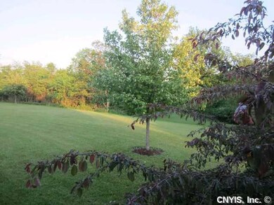 Yard/Garden