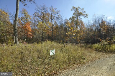 LOT A Crystal Falls Dr, Smithsburg, MD - photo 5