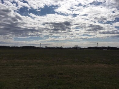 L 288 SE Private Rd 3178, Corsicana, TX 75109 - photo 4