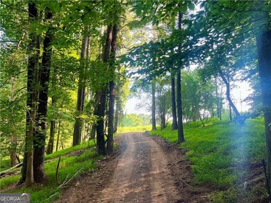 47 ac Jesse Martin Trail, Canton, GA 30115 - photo 2