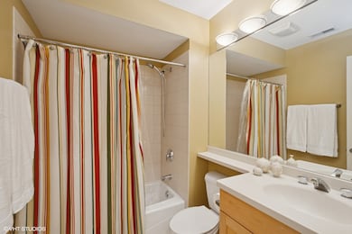 unlisted-address, Chicago, IL 60616 - photo 5