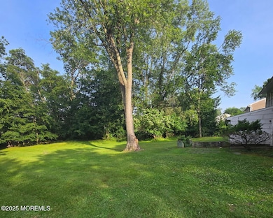 Backyard 1