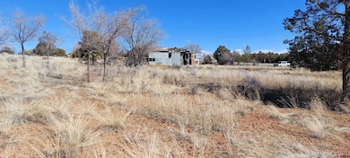 51981 Highway 491 Hwy, Cahone, CO 81320 - photo 2