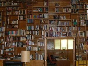 Libary Wall With Sliding Ladder