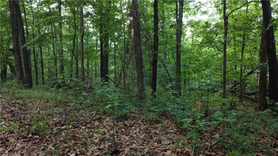 0 Linfield Ln unit 1276166, Bella Vista, AR 72715 - photo 6