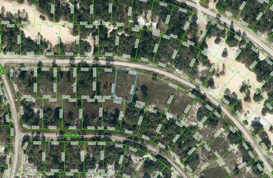 411 Sunshine Ave, Lake Placid, FL 33852 - photo 2