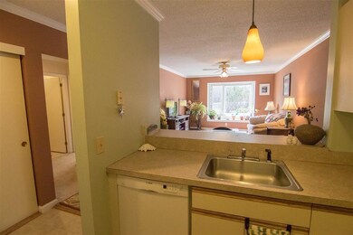 23 Nh Route 49 unit 8, Campton, NH 03223 - photo 2