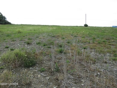 AT REAR OF LOT LOOKING TOWARD THE ROAD