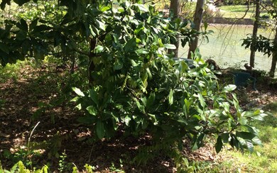 LT 7 Lakeview Cir, Hiawassee, GA 30546 - photo 3