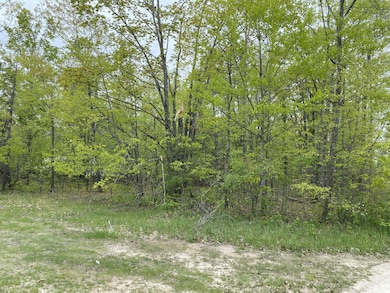 woods from Long Lake Rd