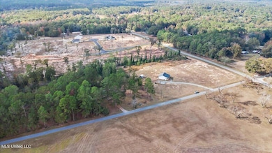 Nsn Brashier Ln, Lucedale, MS 39452 - photo 2