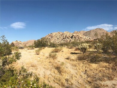 7137 Mount Lassen Ave, Joshua Tree, CA 92252 - photo 6