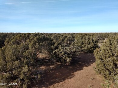 IMG_20210114_150048923_HDR
