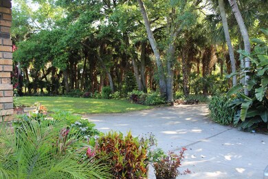 5520 Pine St, Cocoa, FL 32927 - photo 6