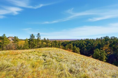 Lot17D W Minnesota St, Rapid City, SD 57701 - photo 3