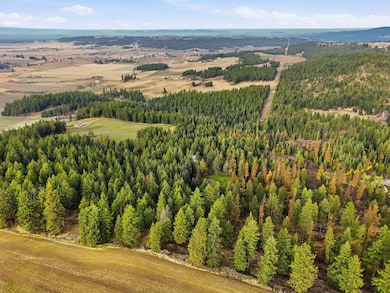 12112 E Burnett Rd, Mead, WA 99021 - photo 3