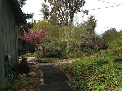 Garden path to studio