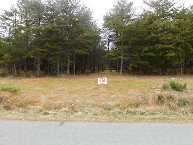 5 (P6) Brights Rd, Gretna, VA 24557 - photo 2