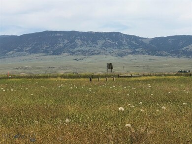 43 N Centurion Way, Whitehall, MT 59759 - photo 5