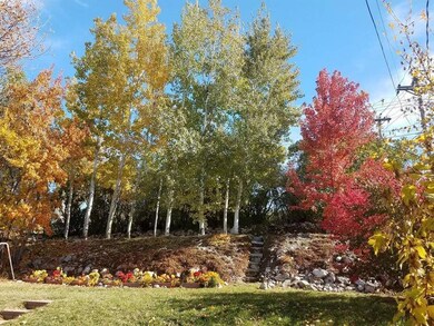 Backyard in Fall