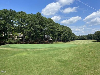 Morton Golf Course View 2